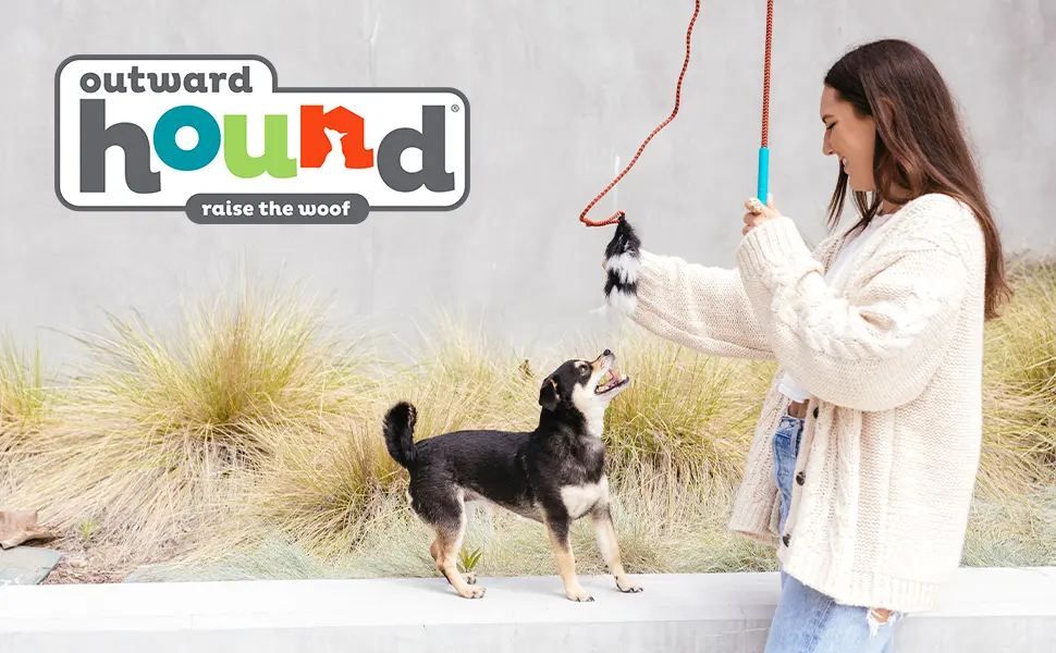 Outward Hound Interactive Dog Training Toys and Agility Kits Blue Tail Teaser Wand - image