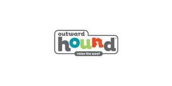 Outward Hound Interactive Dog Training Toys and Agility Kits Blue Tail Teaser Wand - image