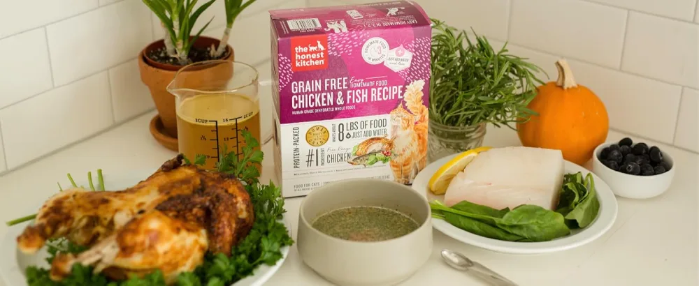 The Honest Kitchen Dehydrated Grain Free Turkey Cat Food 2 Pound (Pack of 1) - Crafted for Overall Health