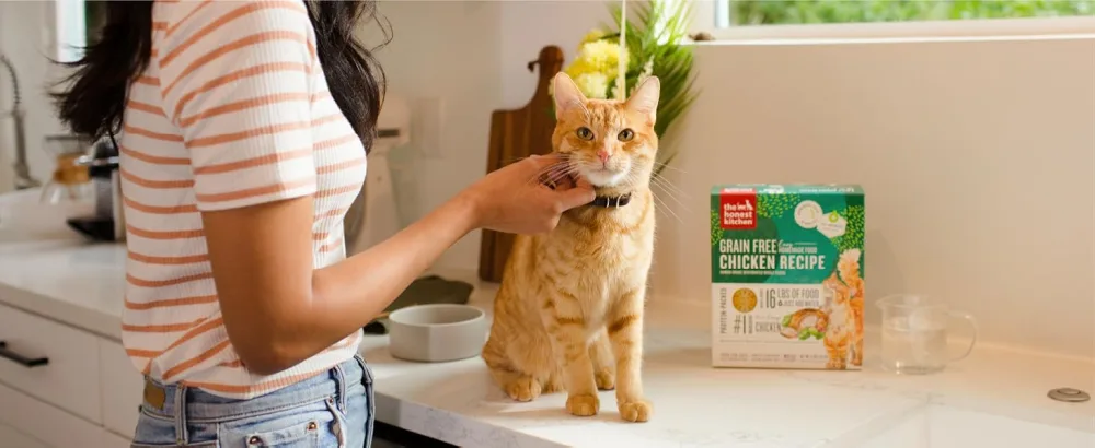The Honest Kitchen Dehydrated Grain Free Turkey Cat Food 2 Pound (Pack of 1) - Made Without Fillers