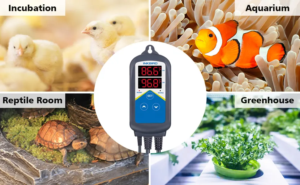 Inkbird Heating Thermostat Aquarium Reptile Submersible Probe Sensor ITC306T Relay Digital Greenhouse Temperature Controller Dual Stage Timer Switch Only Heat Plug Outlet No Cooling - product information 17