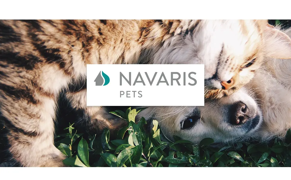 Navaris Cat Scratch Mat Sofa Protector - Natural Sisal Furniture Protector Scratching Pad for Cats - Scratch Carpet for Couch, Sofa, Chair Dark Grey Left - Navaris