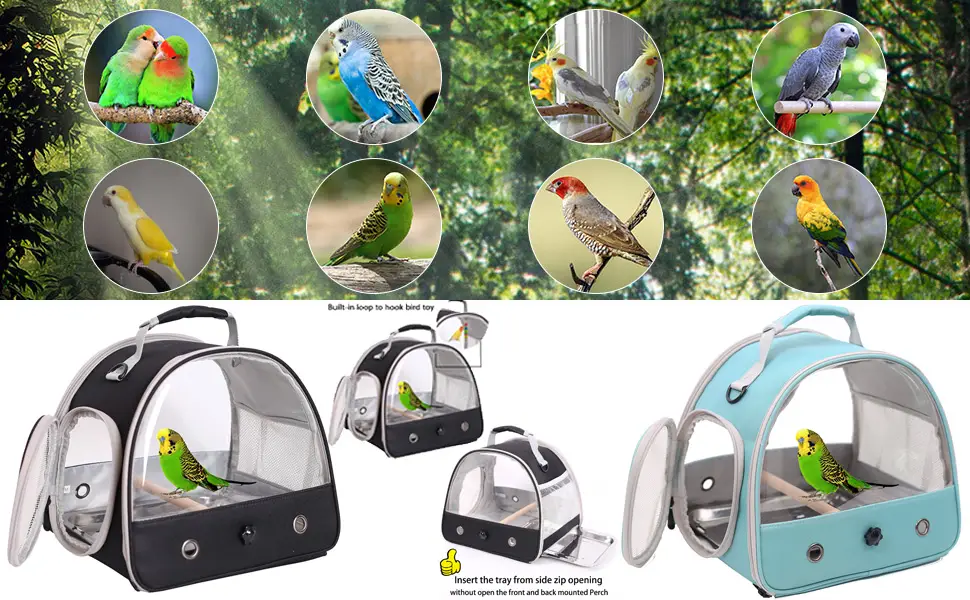 Bird Carrier, Portable Small Bird Parrot Parakeet Carrier with Standing Perch and Stainless Steel Tray, Side Access Window Collapsible Black - product information 6