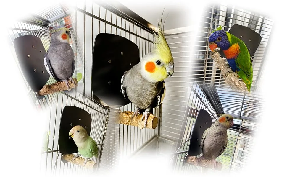 Ogioxam Bird Heater, Thermostatical Bird Warmer for Parakeets, IP67 Waterproof Bird Accessories and Supplies, 12V - ogioxam warmer is popular among parrot owners