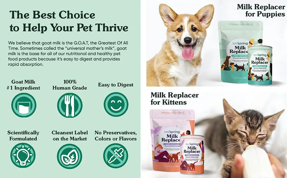 Tailspring Milk Replacer for Kittens, Powdered, Made with Whole Goat Milk 12 Ounce (Pack of 1) - product information 2