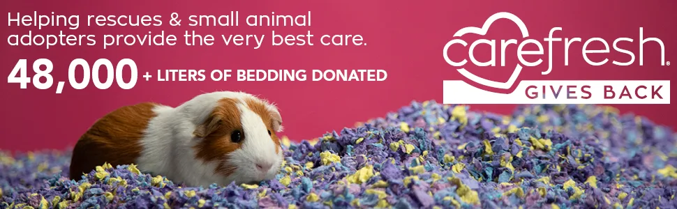 carefresh 99% Dust-Free Natural Paper Small Pet Bedding with Odor Control 23L white - small pet bedding, small animal bedding, guinea pig bedding, rabbit bedding, hamster bedding