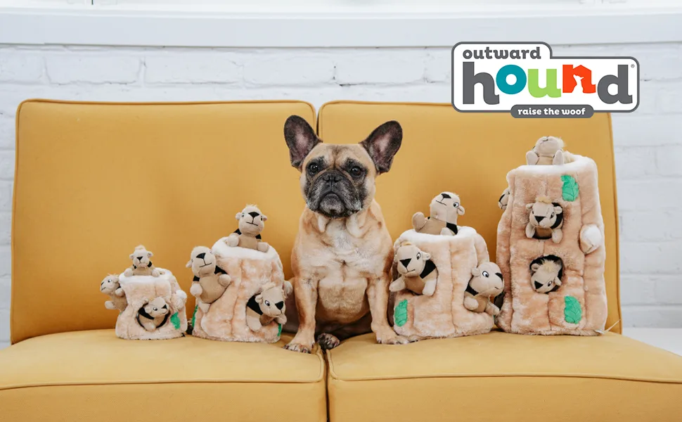 Outward Hound Hide-A-Squirrel Squeaky Puzzle Plush Dog Toy - Hide and Seek Activity for Dogs XL Squirrel - image