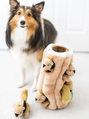 Outward Hound Hide-A-Squirrel Squeaky Puzzle Plush Dog Toy - Hide and Seek Activity for Dogs XL Squirrel - image