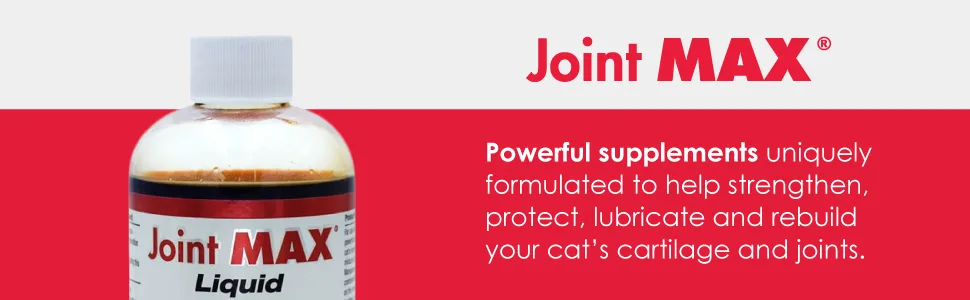 Joint MAX Liquid for Cats - Vitamins, Minerals, Antioxidants - Maximum Joint Health Supplement for Cats - 8 fl oz - Joint MAX Liquid for cats