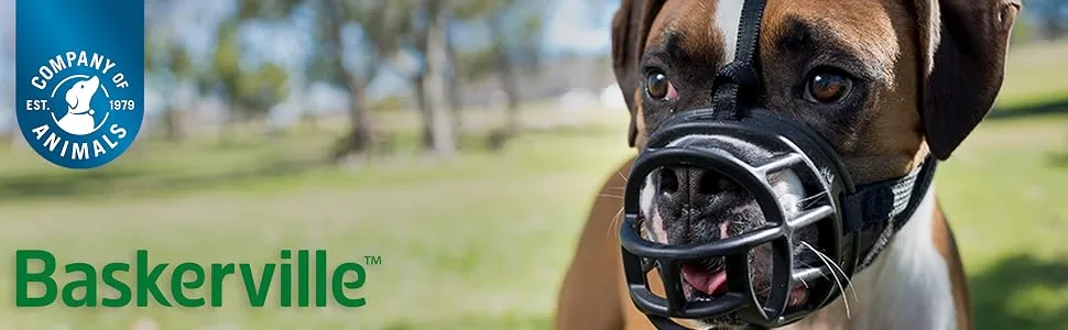 Baskerville Ultra Dog Muzzle Dogs, Prevents Chewing and Biting, Basket Allows Panting and Drinking-Comfortable, Humane, Adjustable, Lightweight, Durable, 6 Sizes, Black/Tan 5 - Labrador Black - dog muzzles, humane dog training, baskerville ultra muzzle, safe dog muzzles company of animals