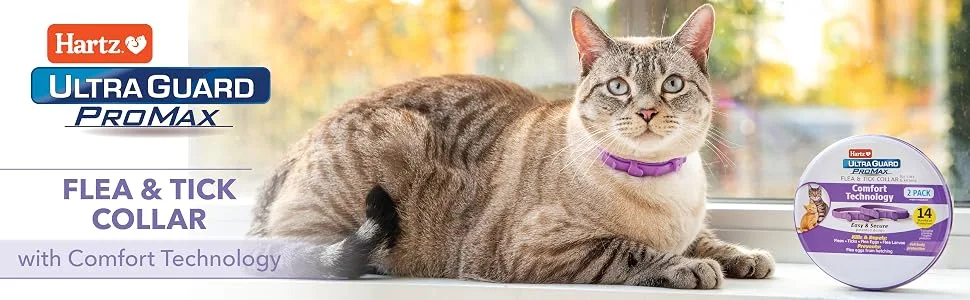 Hartz UltraGuard ProMax Flea & Tick Collar for Cats & Kittens, 2 Collars, Soft & Comfortable Flea & Tick Prevention, Purple - cat promax banner