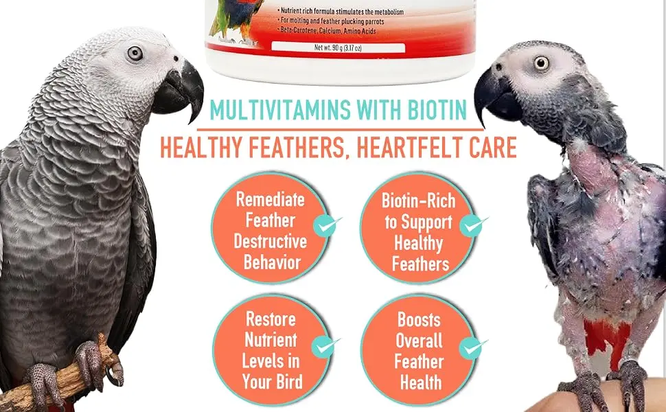UnRuffledRx FeatherUp! Bird Molting Support & Feather Growth Supplement - for Plucking, Regrowth & Molt - Multivitamin & Amino Acids for All Birds - 90g (240 Servings) - product information 2