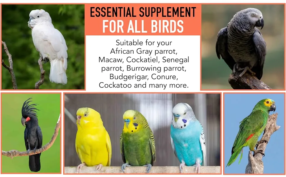 UnRuffledRx FeatherUp! Bird Molting Support & Feather Growth Supplement - for Plucking, Regrowth & Molt - Multivitamin & Amino Acids for All Birds - 90g (240 Servings) - product information 4