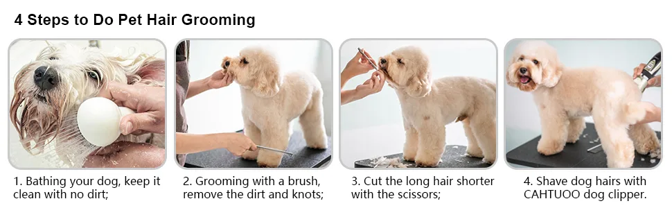 Dog Grooming Kit (Standard, Gold) Standard Gold - Quiet