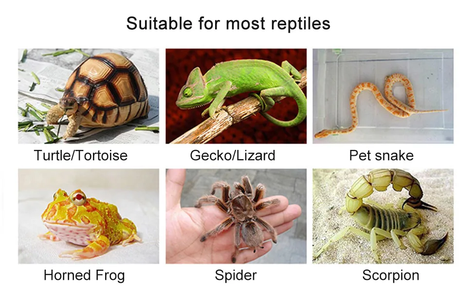 OMEM Transparent Acrylic Pet Reptile Box-Pet Reptile Combination Breeding Box Spider Scorpion Snake Transparent Breeding Box - Applicable animals