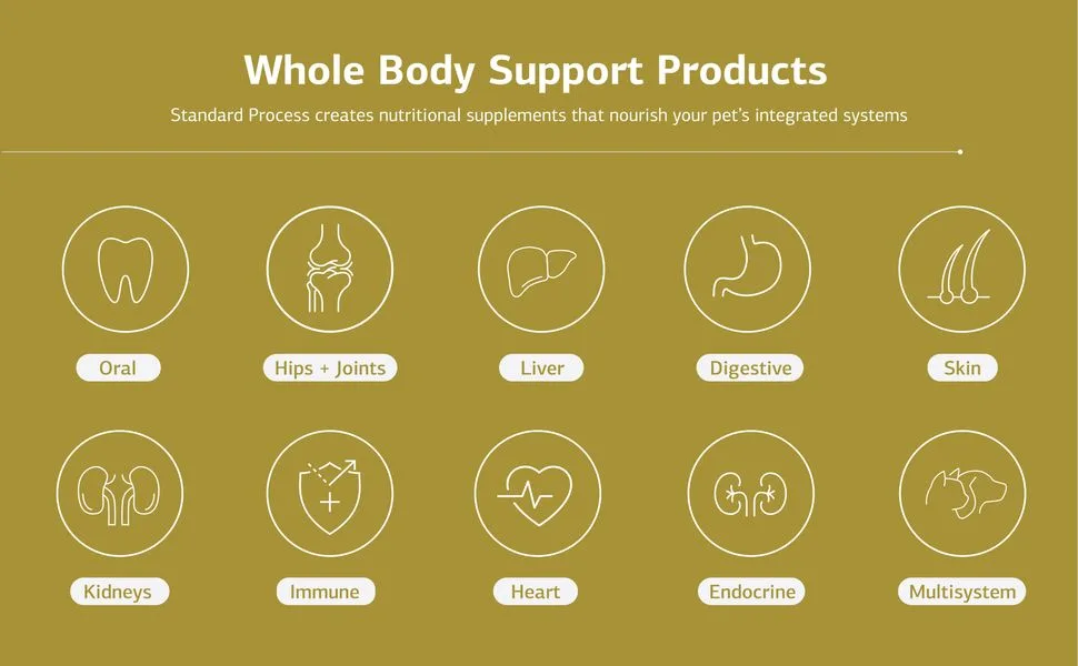 Standard Process - Feline Renal Support - Kidney and Urinary Health for Cats - 90 Tablets - Whole Body Support Products