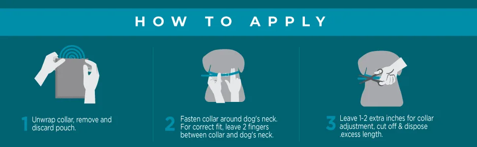 TevraPet Activate II Flea and Tick Collar for Dogs, 12 Months Prevention, 2 Count, One Size Fits All - How to Apply
