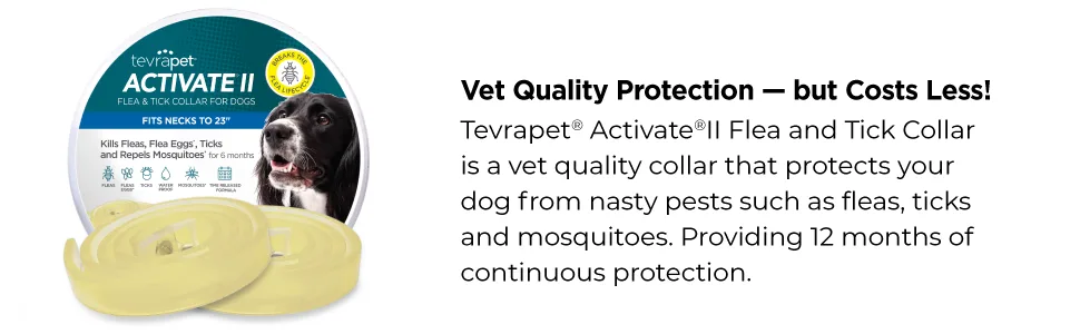 TevraPet Activate II Flea and Tick Collar for Dogs, 12 Months Prevention, 2 Count, One Size Fits All - Vet Quality Protection - Collar