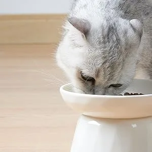 Frewinky Ceramic Slow Feeder Cat Bowls,Slow Feeder for Cats and Small Dogs,Elevated-Cat Slow Feeder Food Bowl and Mat - cat slow feeder bowl,slow cat feeder,slow feeder cat,slow feed bowl,cat slow feeder wet food,