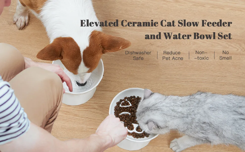 Frewinky Ceramic Slow Feeder Cat Bowls,Slow Feeder for Cats and Small Dogs,Elevated-Cat Slow Feeder Food Bowl and Mat - Elevated ceramic cat slow feeder and water bowl set,slow feeder cat bowl,slow feeder,cat slow feeder