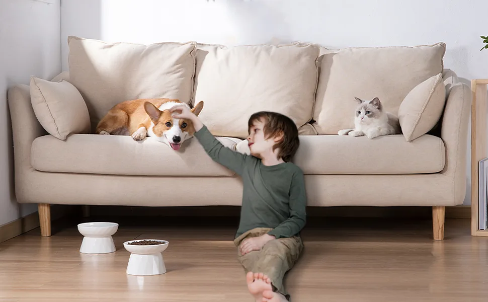 Frewinky Ceramic Slow Feeder Cat Bowls,Slow Feeder for Cats and Small Dogs,Elevated-Cat Slow Feeder Food Bowl and Mat - slow feeder cat bowl,slow feeder,cat slow feeder,cat slow feeder bowl,slow cat feeder