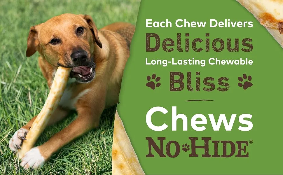 Earth Animal No-Hide Flavorful Small Natural Rawhide Alternative Dog Chews Chicken 2 Count (Pack of 3) - Long Lasting Bliss