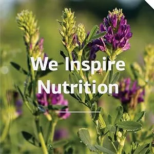 Standard Process - Feline Whole Body Support - Daily Supplement for Cats - 90 Tablets - We inspire nutrition