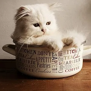 Allersearch Cat Dander Spray ADMS - cat in bowl