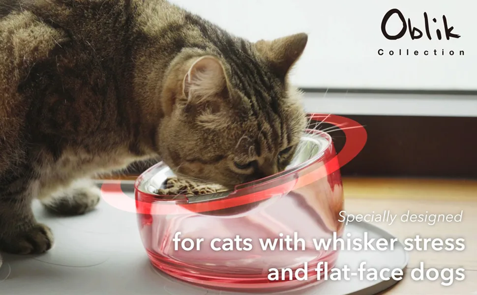 Felli Pet Oblik Cat Dog Food Bowls 0.5 Cups Shallow Dish Sapphire - Collection