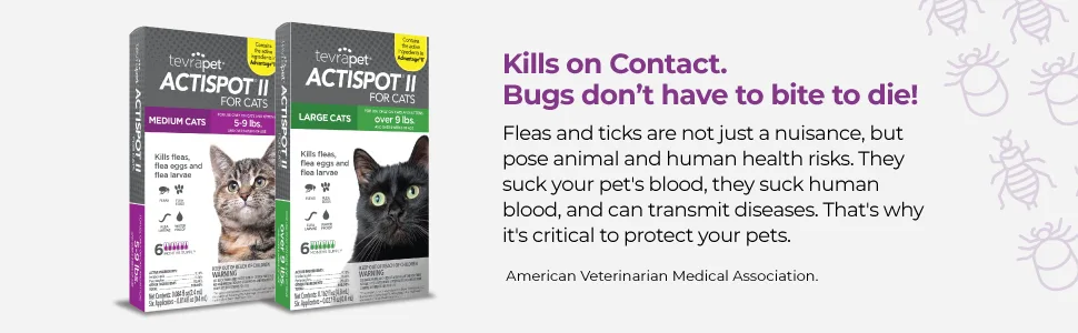 TevraPet Actispot II Flea Treatment for Cats | 6 Monthly Doses | Powerful Prevention and Control Large 9+ lbs - Actispot Kills on Contact