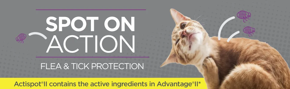 TevraPet Actispot II Flea Treatment for Cats | 6 Monthly Doses | Powerful Prevention and Control Large 9+ lbs - Actispot Spot On Action