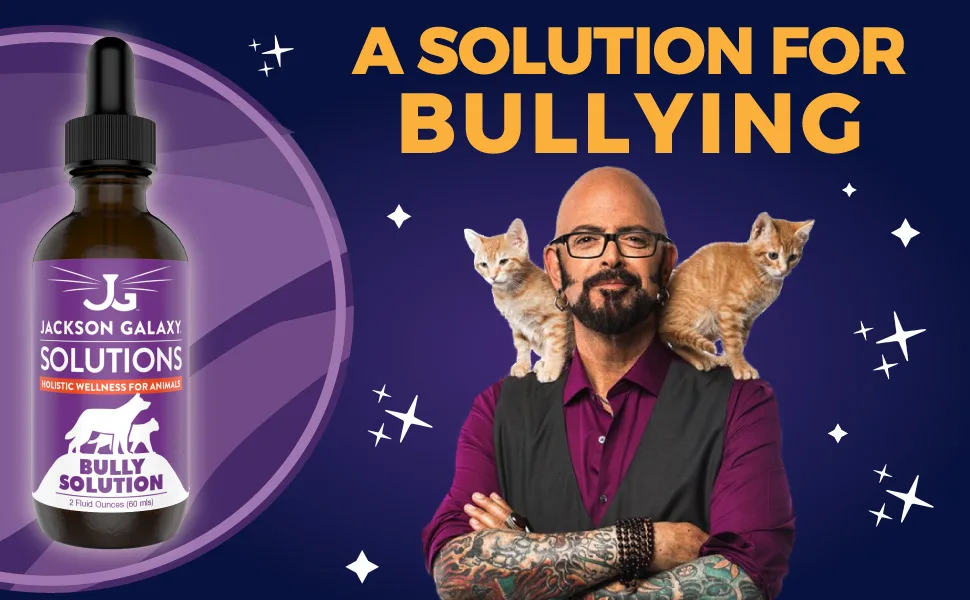 Jackson Galaxy: Bully Solution (2 oz.) - Pet Solution - Promotes Relaxation and Calmness - Can Support Bullying and Dominance - All-Natural Formula - Reiki Energy - Jackson Galaxy