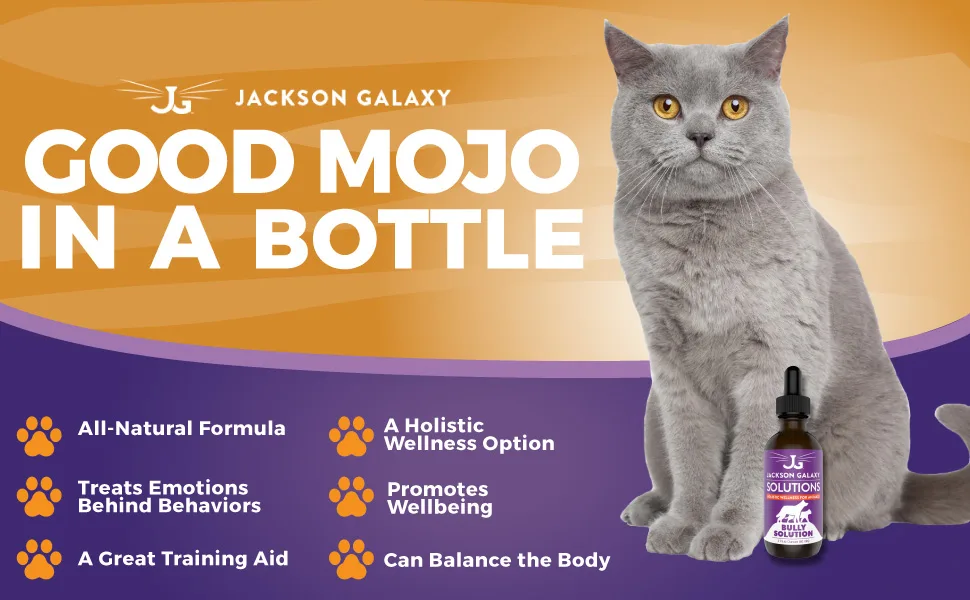 Jackson Galaxy: Bully Solution (2 oz.) - Pet Solution - Promotes Relaxation and Calmness - Can Support Bullying and Dominance - All-Natural Formula - Reiki Energy - Jackson Galaxy