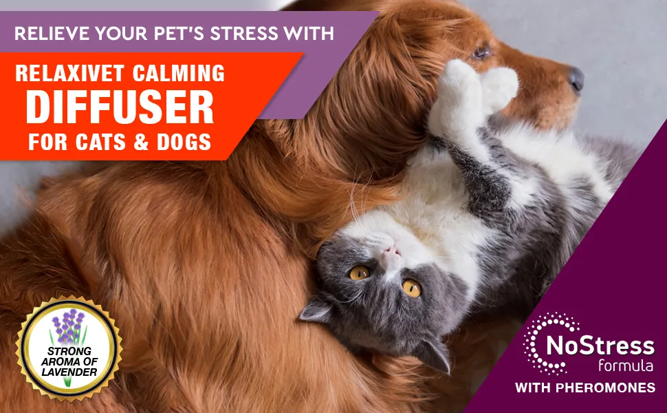 Relaxivet Cat Calming Diffuser Refill & Pet Anti Anxiety Products - Feline Calm Pheromones & Cats Stress Relief Comfort Help with Pee, New Zone, Aggression, Fighting with Dogs & Other Behavior (2 Refill (Diffuser not Include) - pheromome diffuser for dogs and cats calming anxiety refill stress relief