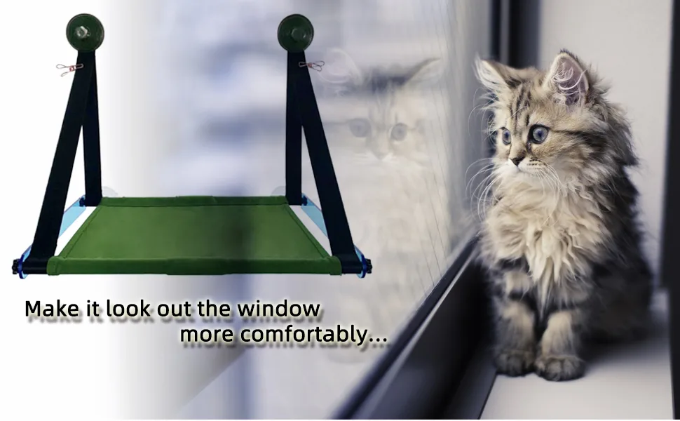 Foldable Cat Hammock Withstand Large Cats Over 60 lbs | Indoor Cat Window Perch with 3.3in Sturdy Suction Cups - Looking at the cat outside the window, he actually needs a comfortable and safe hammock.