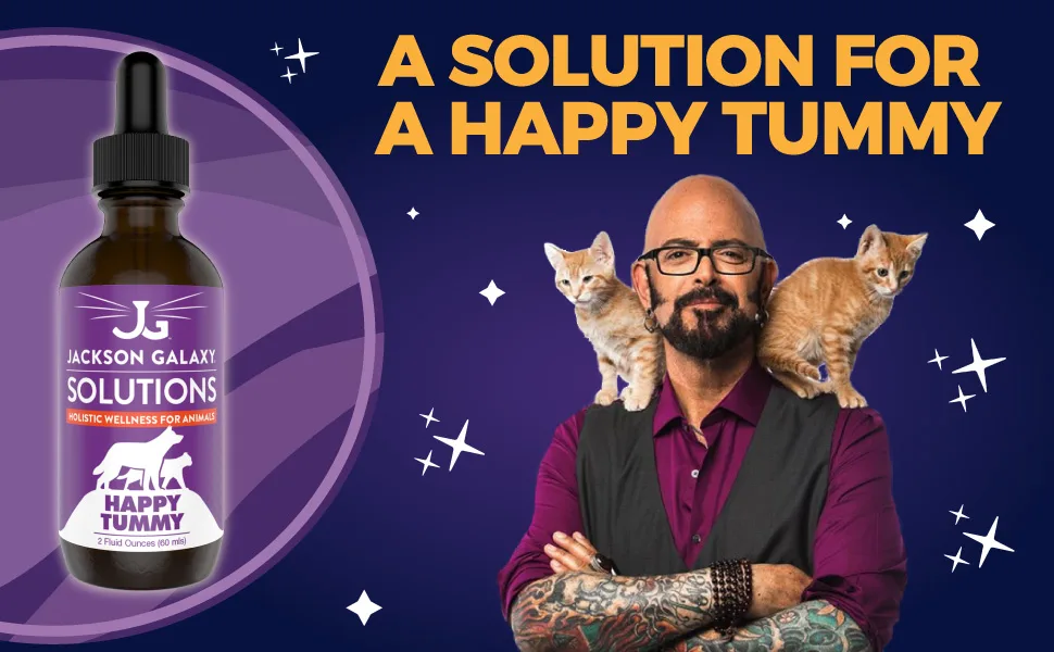 Jackson Galaxy: Happy Tummy (2 oz.) - Pet Solution -Help with Stress and Discharge Toxins - Can Aid With Stomach Issues (IBD, Constipation, etc.) - All-Natural Formula - Reiki Energy - jackson galaxy