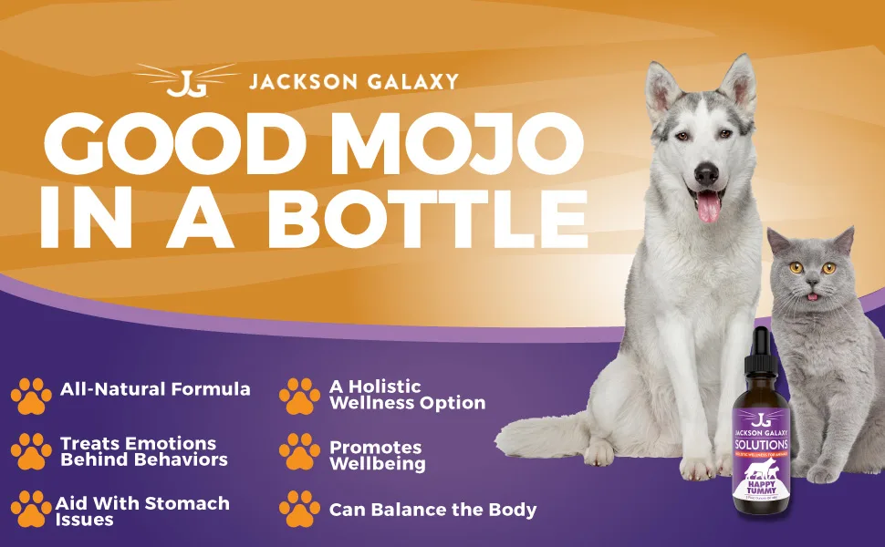 Jackson Galaxy: Happy Tummy (2 oz.) - Pet Solution -Help with Stress and Discharge Toxins - Can Aid With Stomach Issues (IBD, Constipation, etc.) - All-Natural Formula - Reiki Energy - jackson galaxy