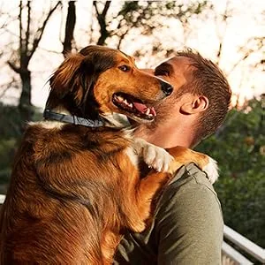 Flea and Tick Collar for Dogs, Flea and Tick Prevention for Dog, 27 Inch, 8 Month Protection 2 PACK DOG - product information 4