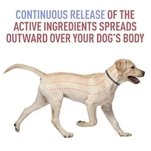 Flea and Tick Collar for Dogs, Flea and Tick Prevention for Dog, 27 Inch, 8 Month Protection 2 PACK DOG - working