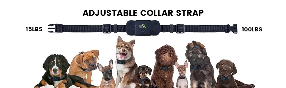 DOG CARE Dog Training Collar for Large Medium Dogs - Dog Shock Collar with Remote, Dog Training Collar with Beep, Vibration, Static Modes, Keypad Lock, 0-99 Adjustable Shock Levels, Long Remote Range Black - dog collar