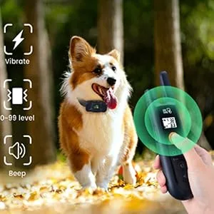 DOG CARE Dog Training Collar for Large Medium Dogs - Dog Shock Collar with Remote, Dog Training Collar with Beep, Vibration, Static Modes, Keypad Lock, 0-99 Adjustable Shock Levels, Long Remote Range Black - Dog training collar