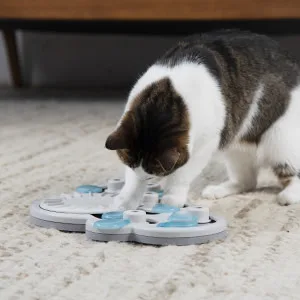 Nina Ottosson by Petstages Rainy Day Puzzle & Play - Interactive Cat Treat Puzzle - Gray and white cat sniffs, paws, and hunts for treats in Petstages by Nina Ottosson cat puzzle toy.