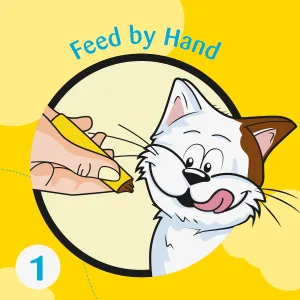 TEMPTATIONS Creamy Puree with Chicken Lickable Cat Treats, 24-Pack of 12g Pouches - Complete & Balanced Nutrition for Adult Cats