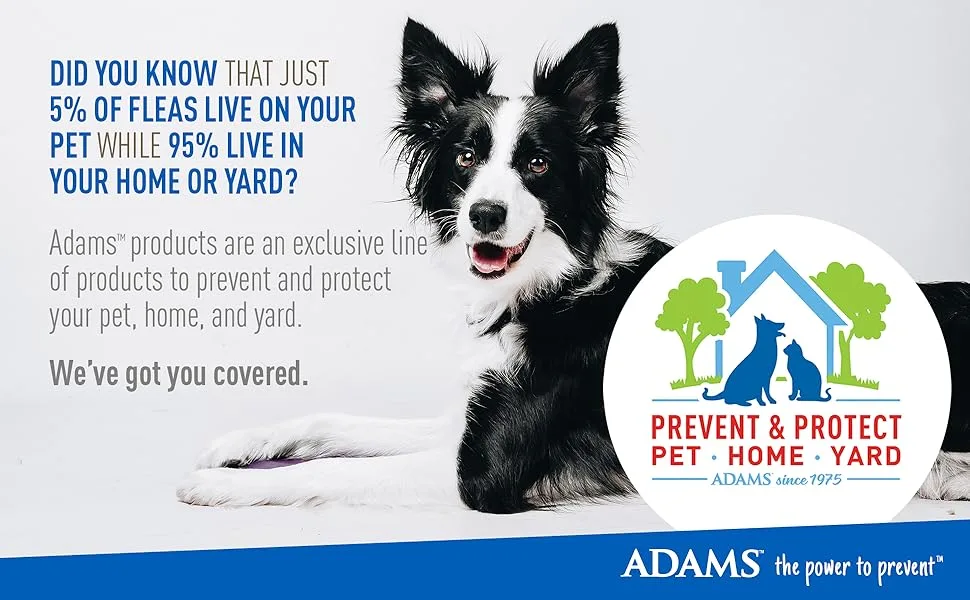 Adams Flea & Tick Carpet & Home Spray, Kills Fleas, Silverfish, Spiders, Ticks, Ants, Crickets, Bed Bugs & Others Listed Nuisance Pests Indoors, 7-Month Flea Protection, Treats Up to 2K Sq Ft, 16 Oz. - Adams Header