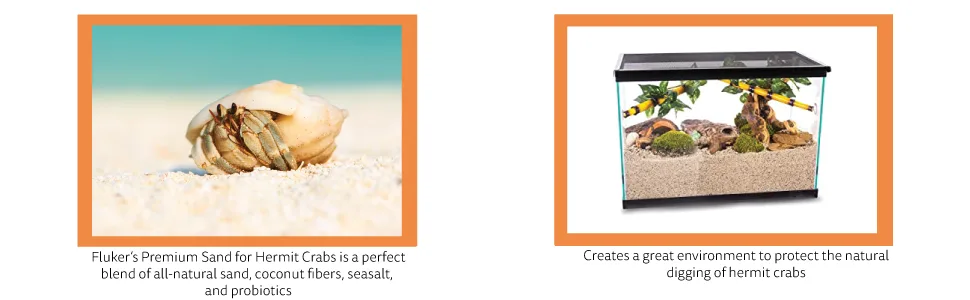Fluker's All Natural Premium Sand Substrate Mixture for Hermit Crabs, 6lbs 6 LBS - Use for Hermit Crab sand