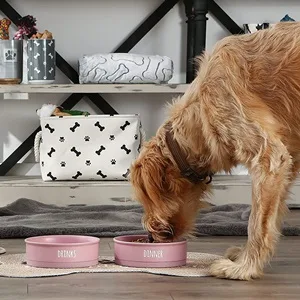 Bone Dry Ceramic Pet Collection Dinner, Drinks & Dessert Set, Treat Canister Black Small, 4.25x2" - Bone Dry Dinner, Drinks, Dessert Pet Bowl and Canister Collection, dog eating out of a set of bowls.