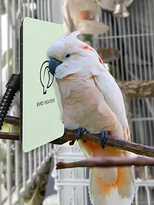 Kokopro Bird Heater for Cage - Snuggle Up Bird Warmer for Exotic Pet Birds, 10W African Grey, Parakeets, Parrots, 3.7"x5.7" - product information 8