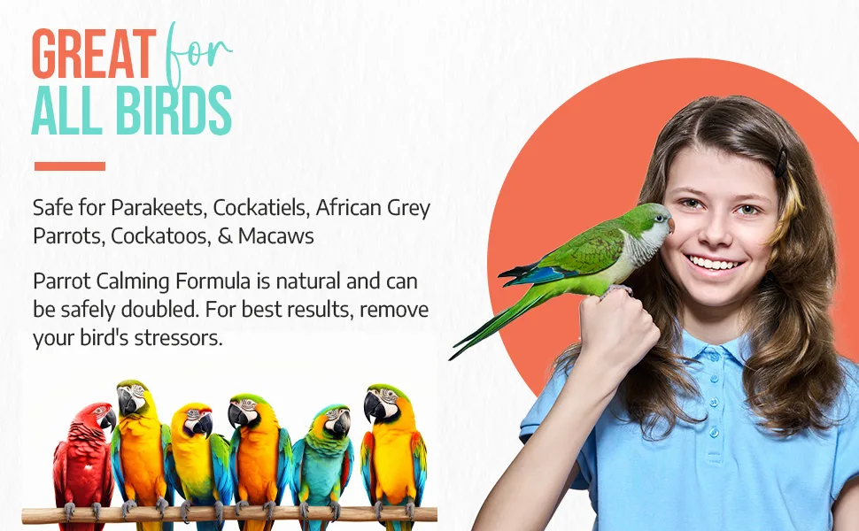 UnRuffledRx Parrot Calming Formula Dietary Supplement for Birds 3 oz. (224 Servings) - Unruffed