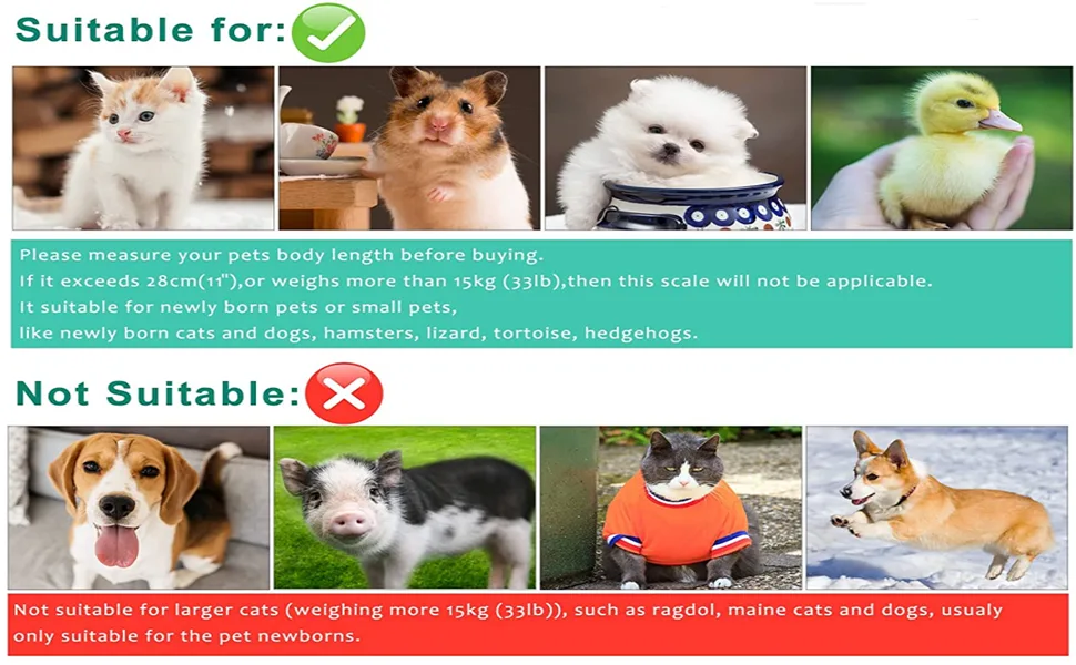 Qulable Digital Small Animals Scale with Tape Measure, Weigh Your Kitten, Rabbit, or Puppy with High Precision, Multi-Function Electronic Scales for Small Dogs Cats Crawl Pet (Pet Scale) White - scale for cat