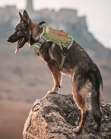 BARKBAY No Pull Dog Harness Front Clip Heavy Duty Reflective Easy Control Handle for Large Dog Walking Large(Chest:27-32") Black - Tactical dog harness